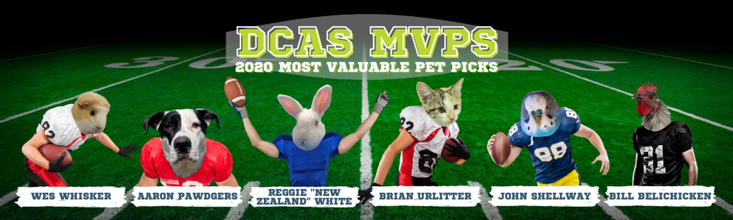 Picture reads DCAS MVPs 2020 most valuable pet picks and depicts a guinea pig head on a human football player's body running and cradling a football in his right arm and blocking with his left arm named Wes Whisker, a black and white dog head with floppy ears on a human football player's body crouched in an aggressive stance named Aaron Pawdgers, a white rabbit head on a human football player's body whose arms are raised in the air and has a football in his right hand named Reggie 