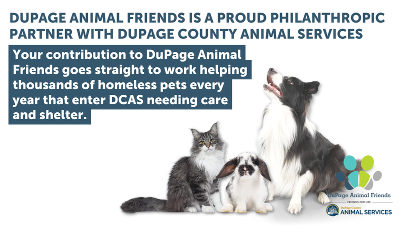 DUPAGE ANIMAL FRIENDS - DuPage Animal Friends