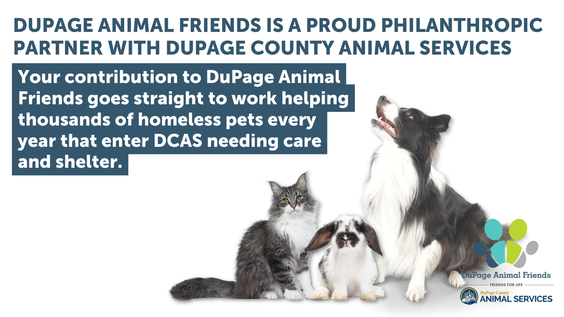 DUPAGE ANIMAL FRIENDS - DuPage Animal Friends